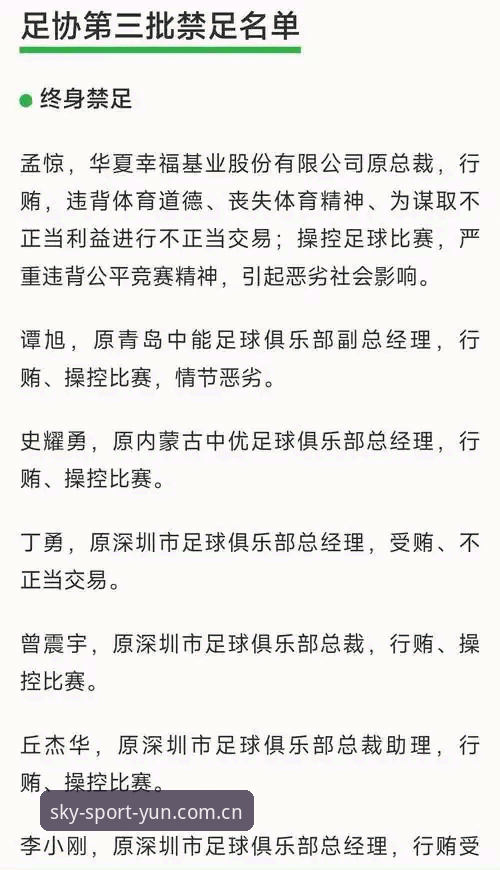 足协第三批禁足名单全面解析：65人受罚背后的中国足球反腐风暴深度解读